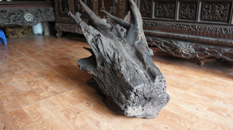 Gỗ mun thật và mun giả chỉ khác nhau ở điểm này! Gỗ mun thật và mun giả chỉ khác nhau ở điểm này! - go mun that va mun gia chi khac nhau o diem nay 1
